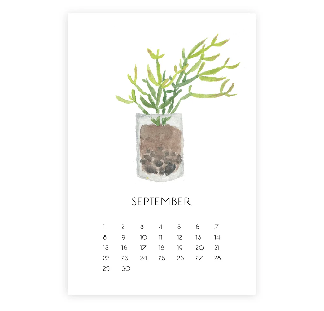 2019_Calendar_Succulent_Web_09Sept.jpg