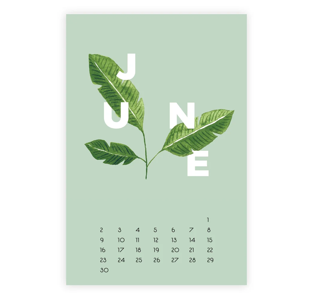 2019_Calendar_Succulent_Web_06June.jpg