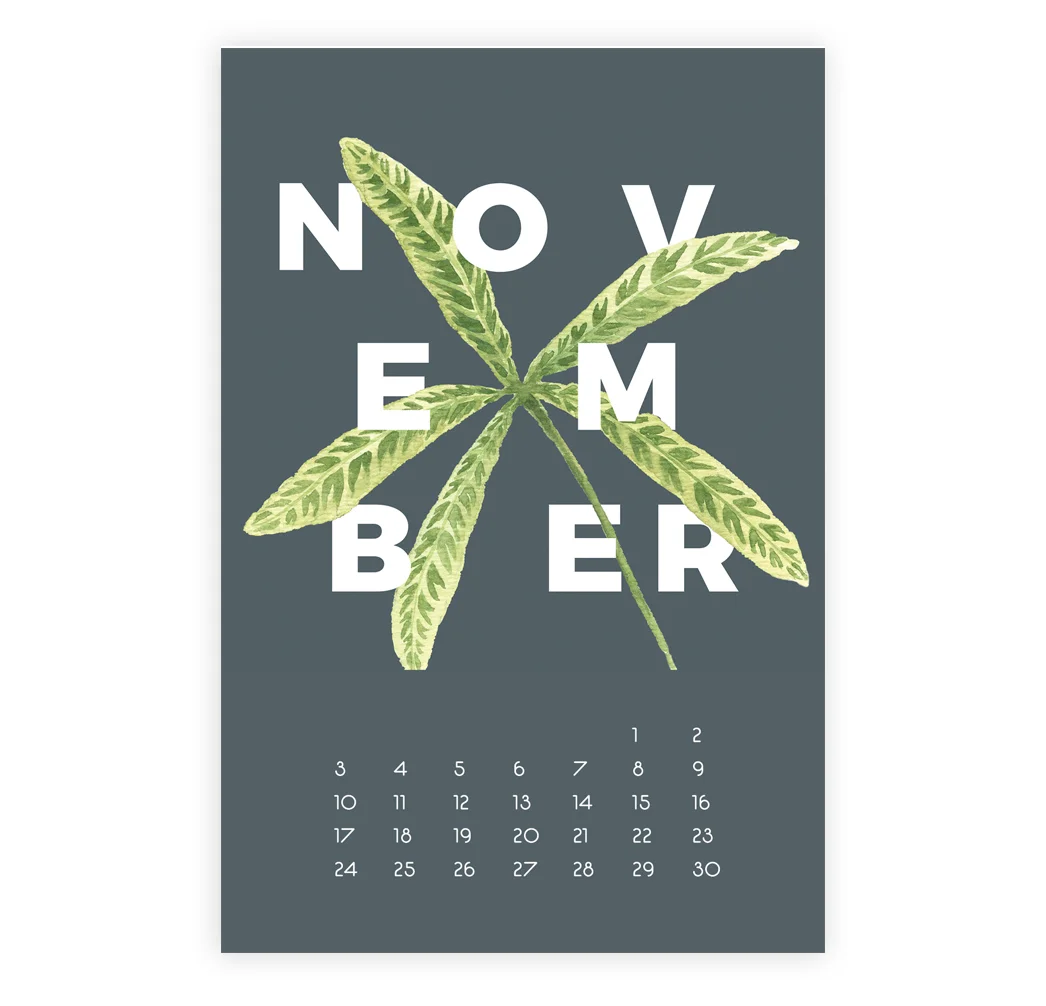2019_Calendar_Succulent_Web_11Nov.jpg
