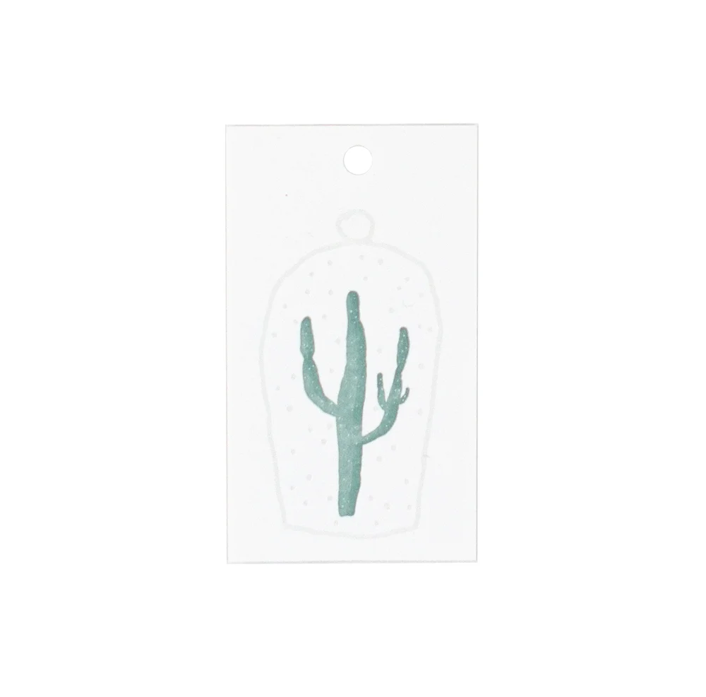 Cactus_White.jpg