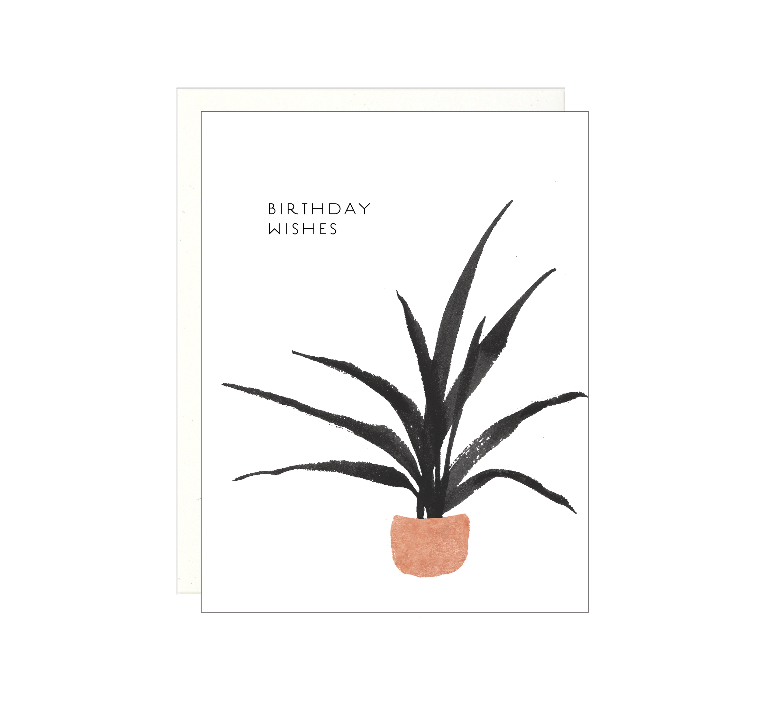 Birthday Wishes - Potted Plant