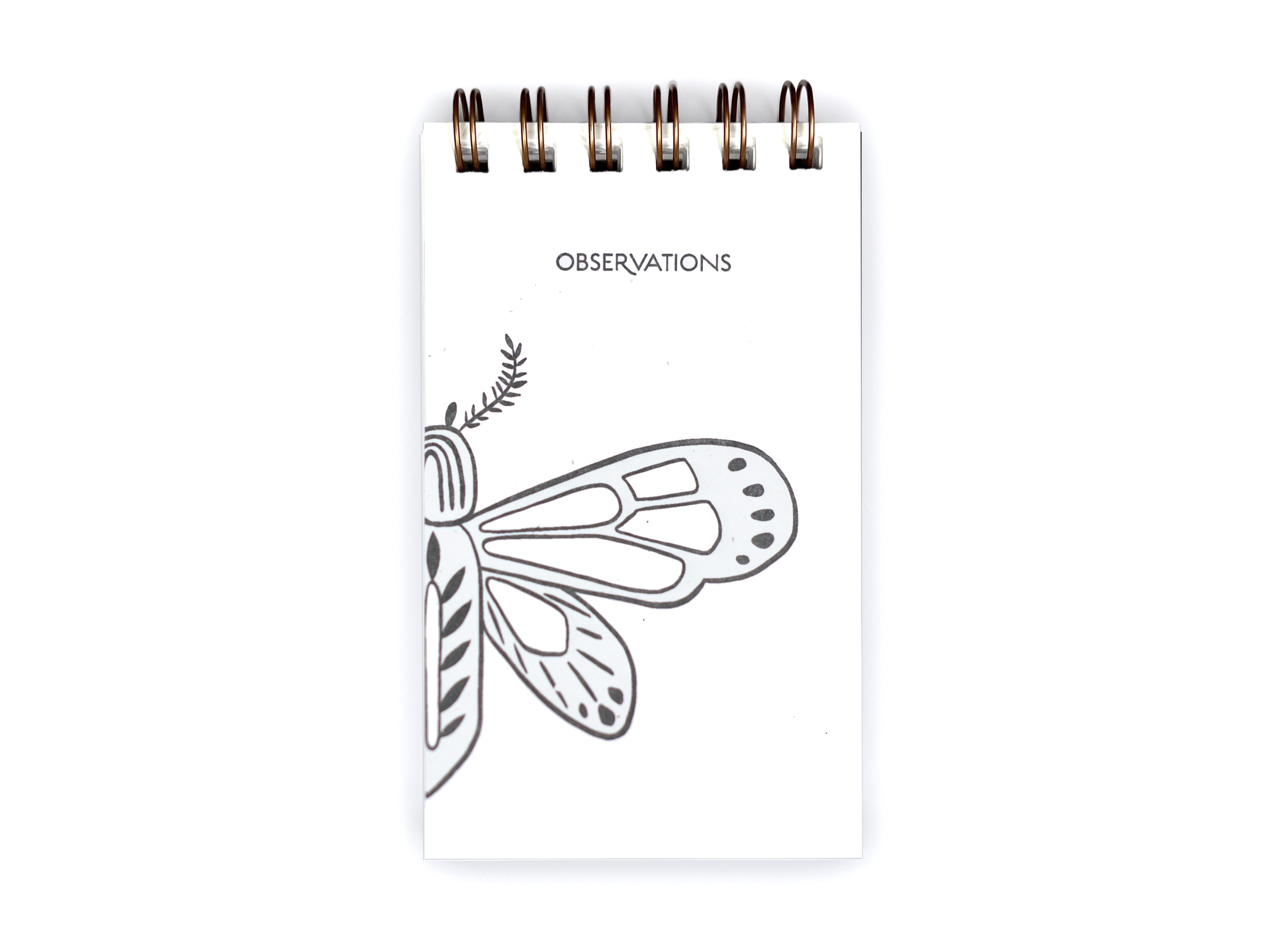 Observations - Butterfly Reporter Notebook