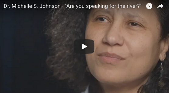 Dr. Michelle S. Johnson: Ep. 3 in interview series