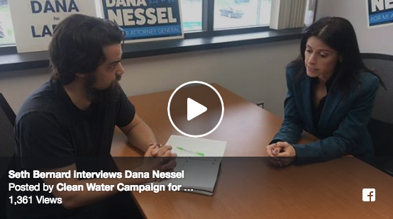 Interview with Dana Nessel: Dem. candidate for MI Attorney General