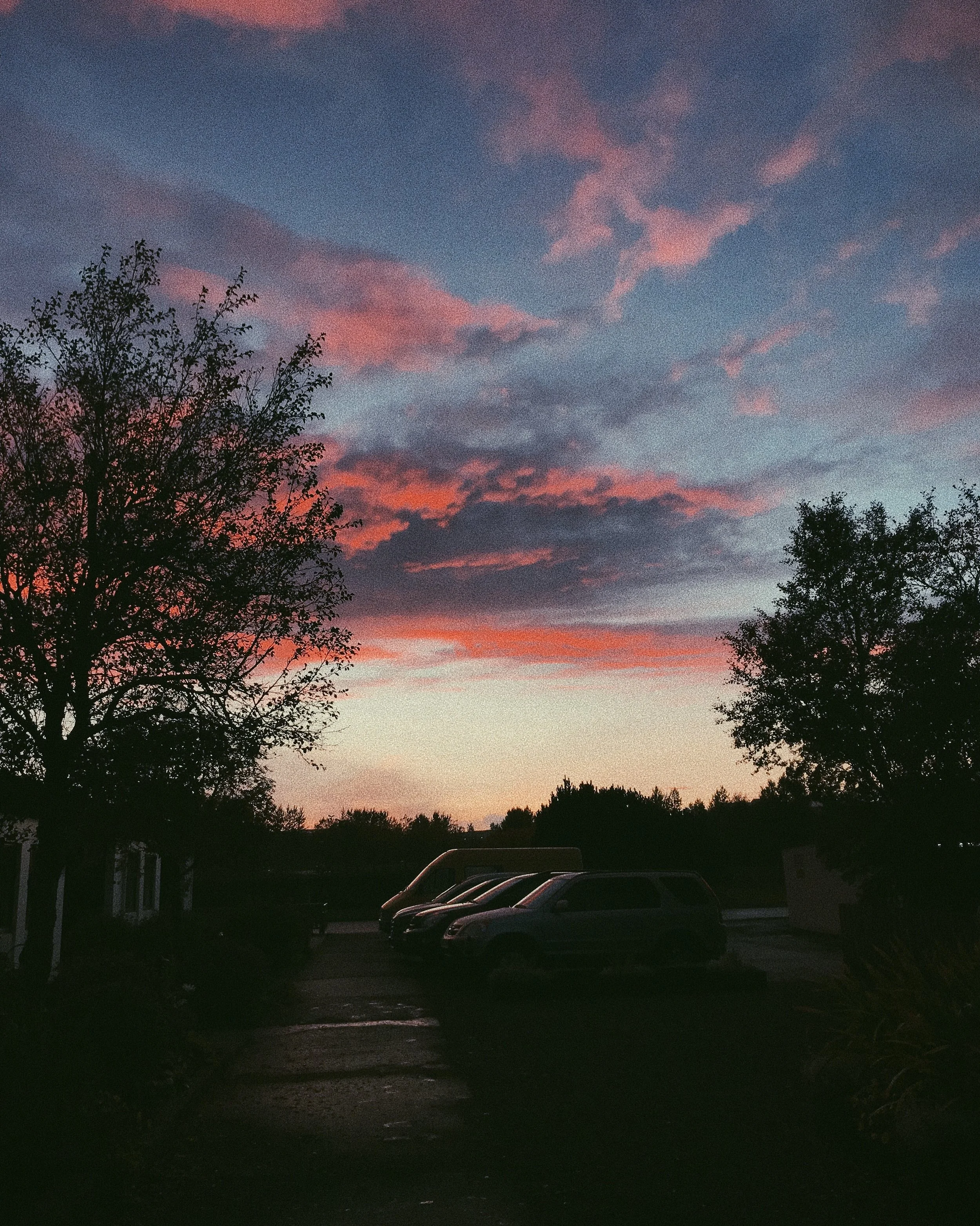 Explore more photos like this one in the 'Shot on iPhone' portfolio