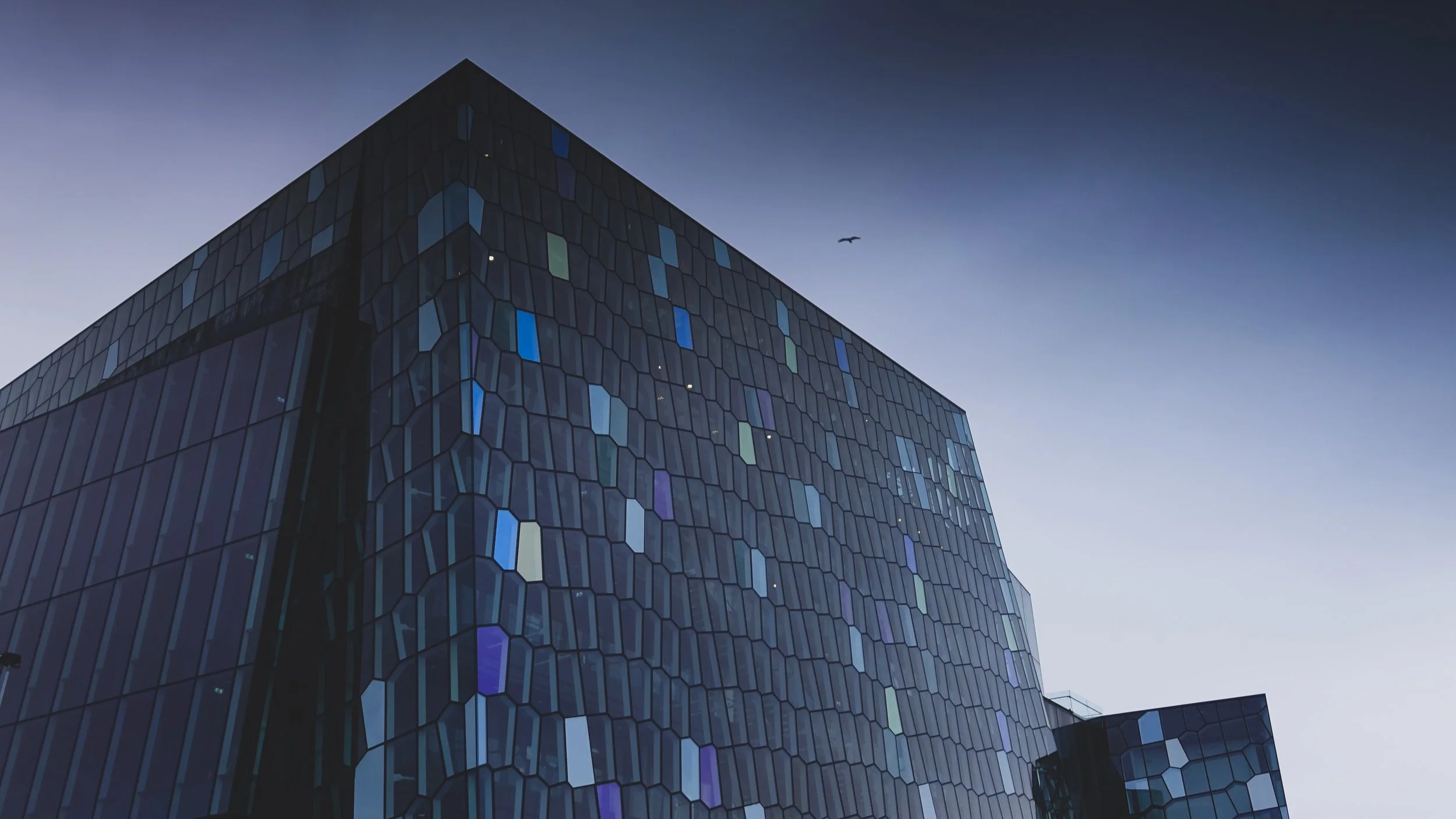 Explore more photos like this one in the 'Shot on camera' portfolio