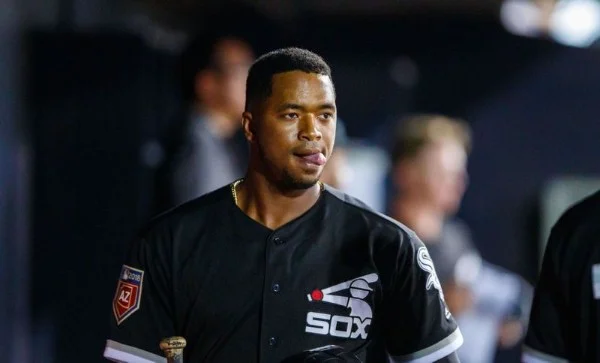 Eloy Jimenez | Mark J. Rebilas/USAToday Sports