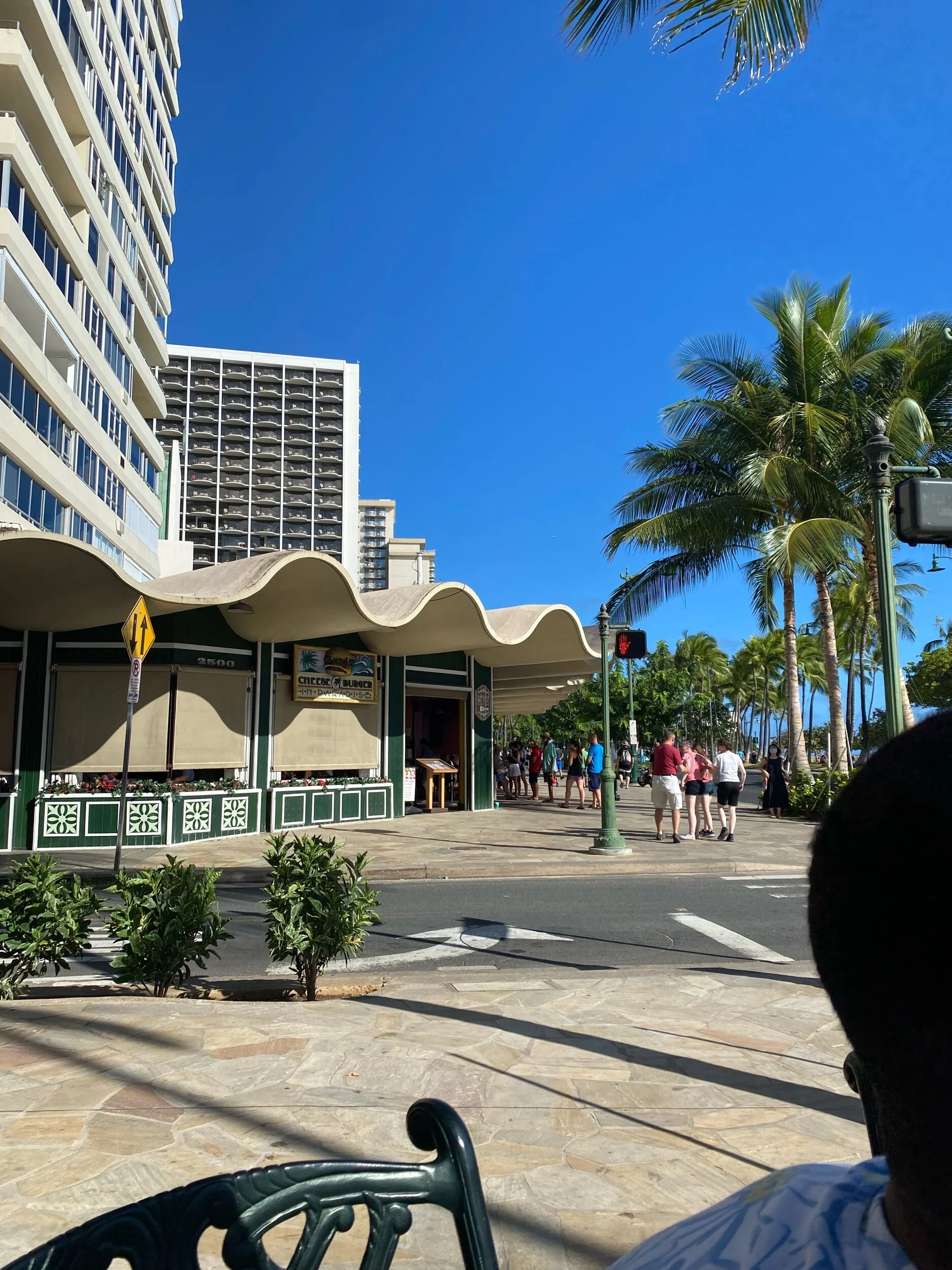 IMG_6956.jpeg