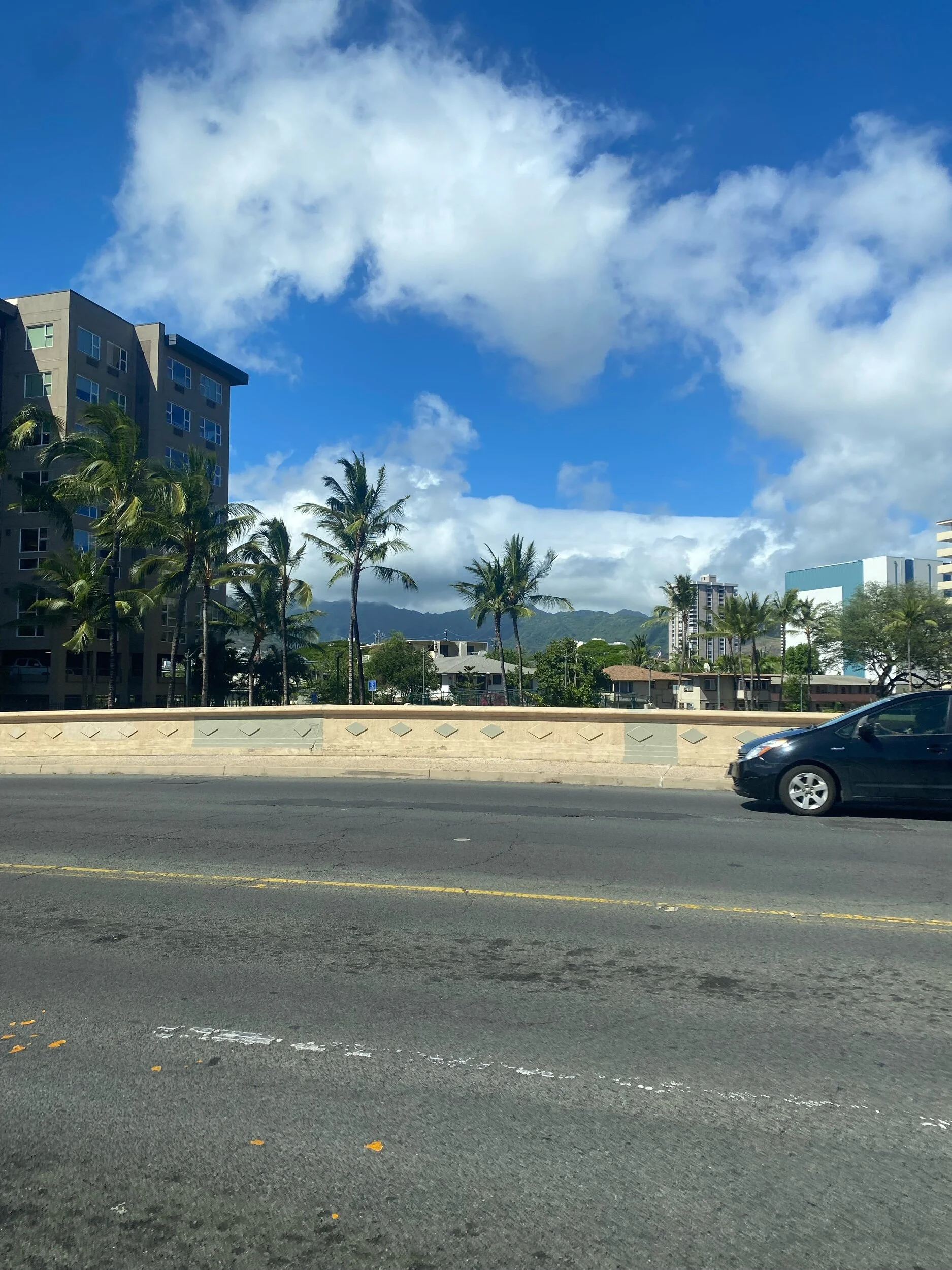 IMG_6936.jpeg