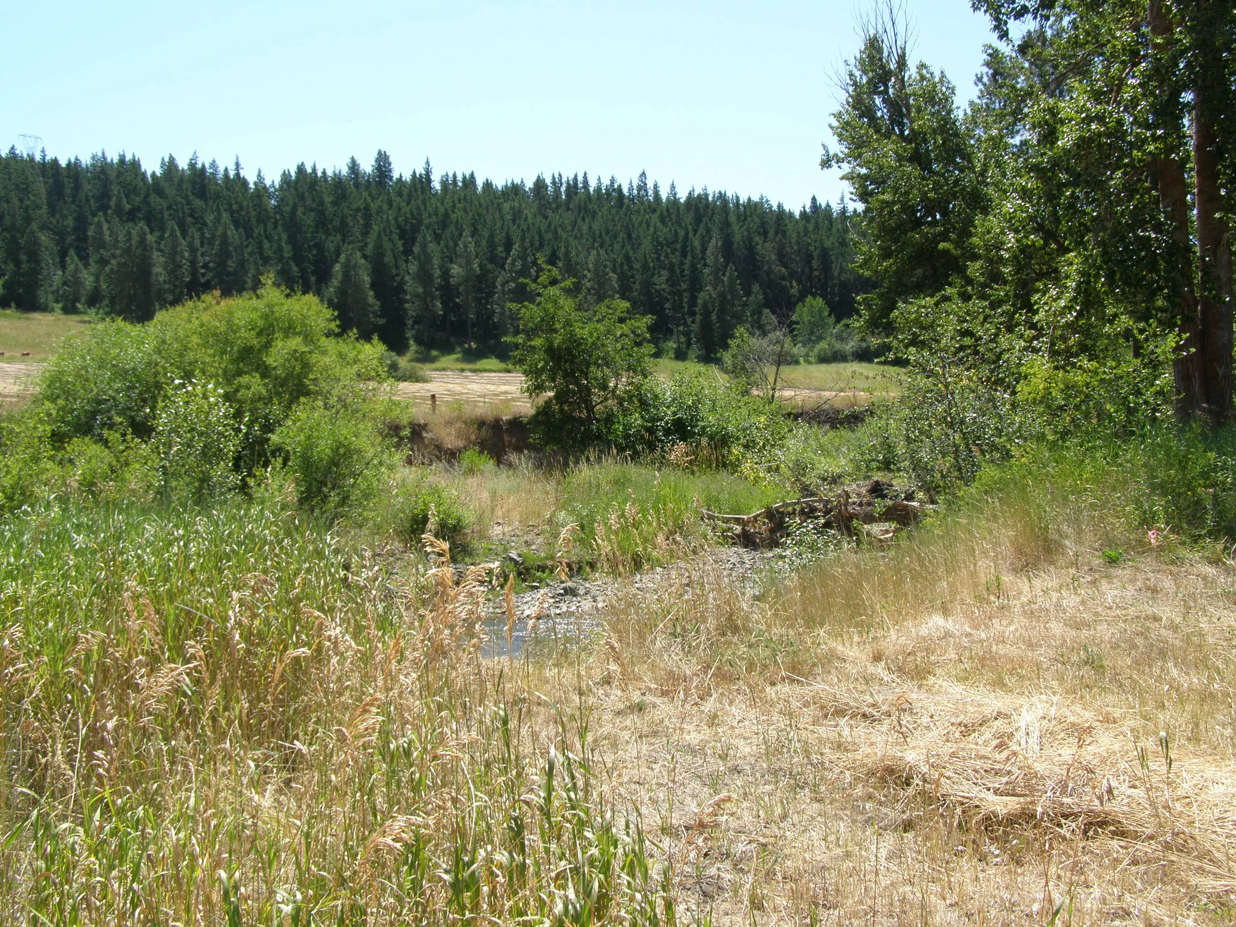 (14) BH 1 & 2-001.JPG