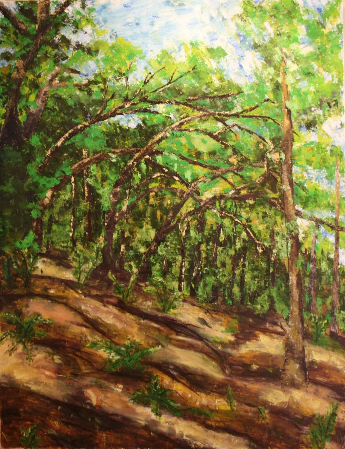 A Walk in the Woods, 2013