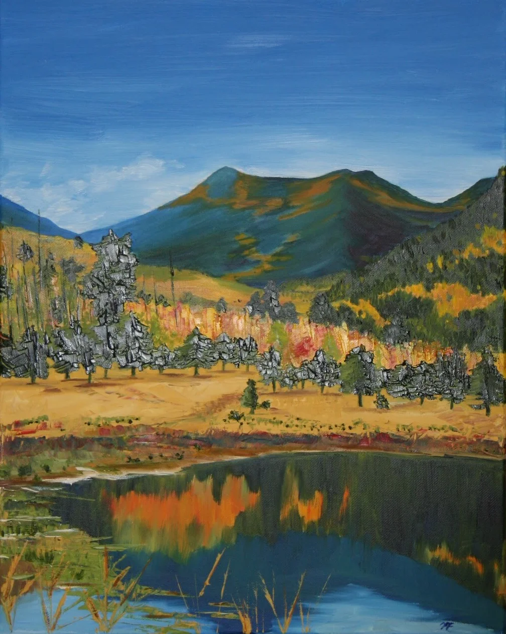 Inner Basin of the San Fransisco Peaks 