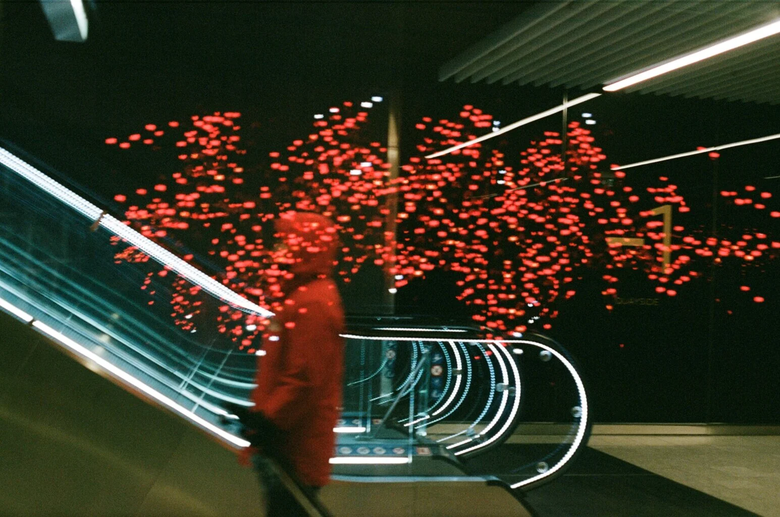 54940017.JPG