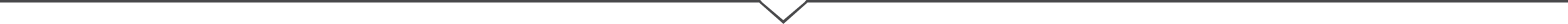 divider-line.png
