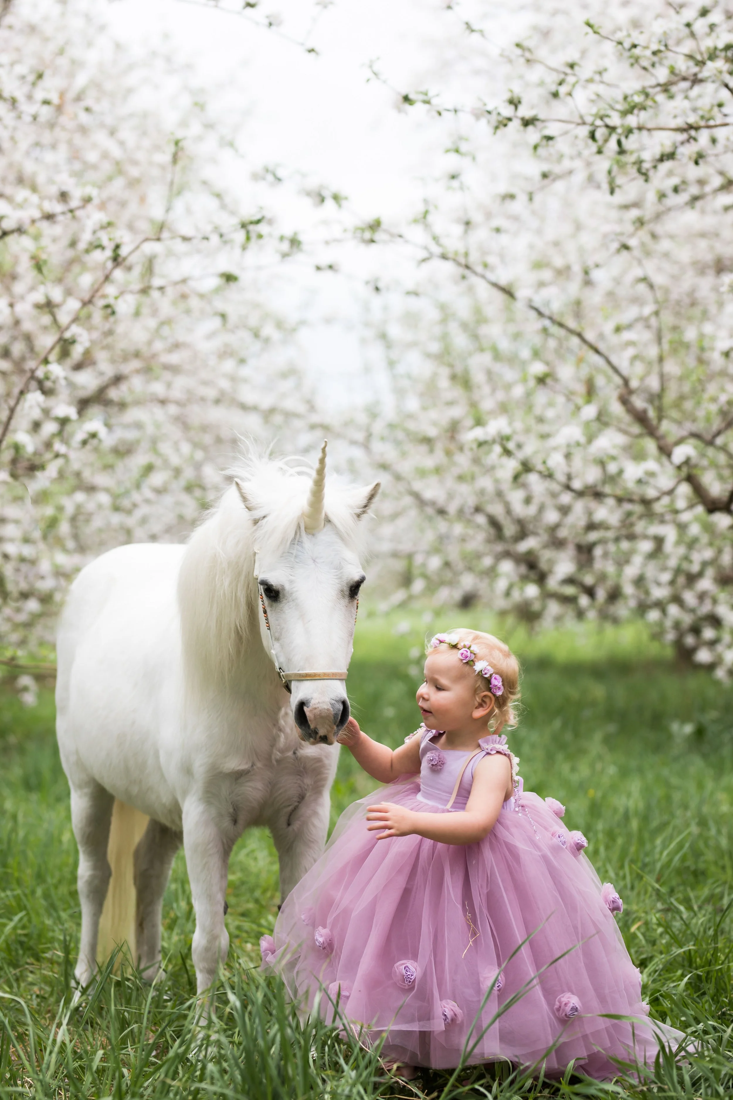 Unicorn (18 of 54).jpg
