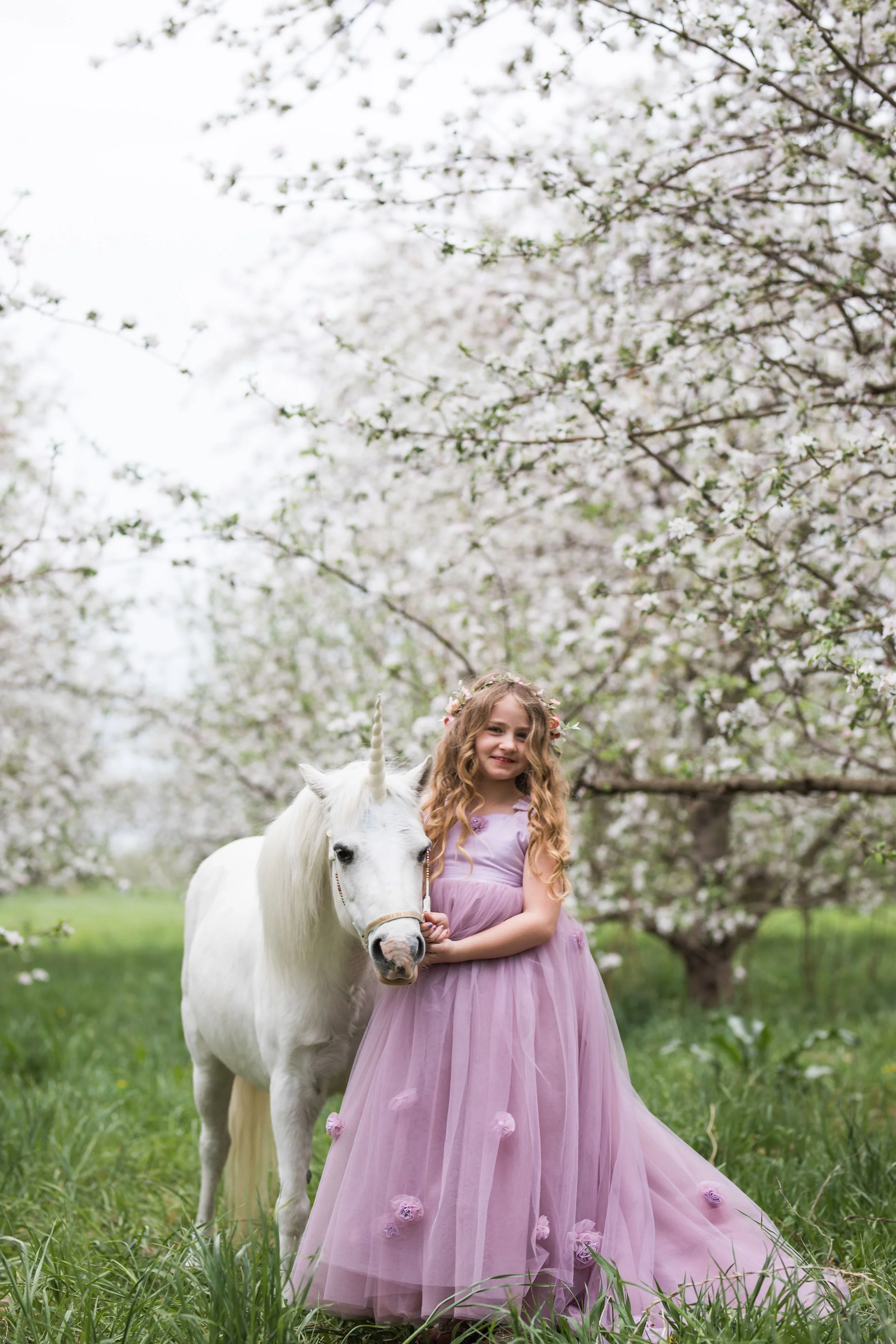Unicorn (30 of 54).jpg