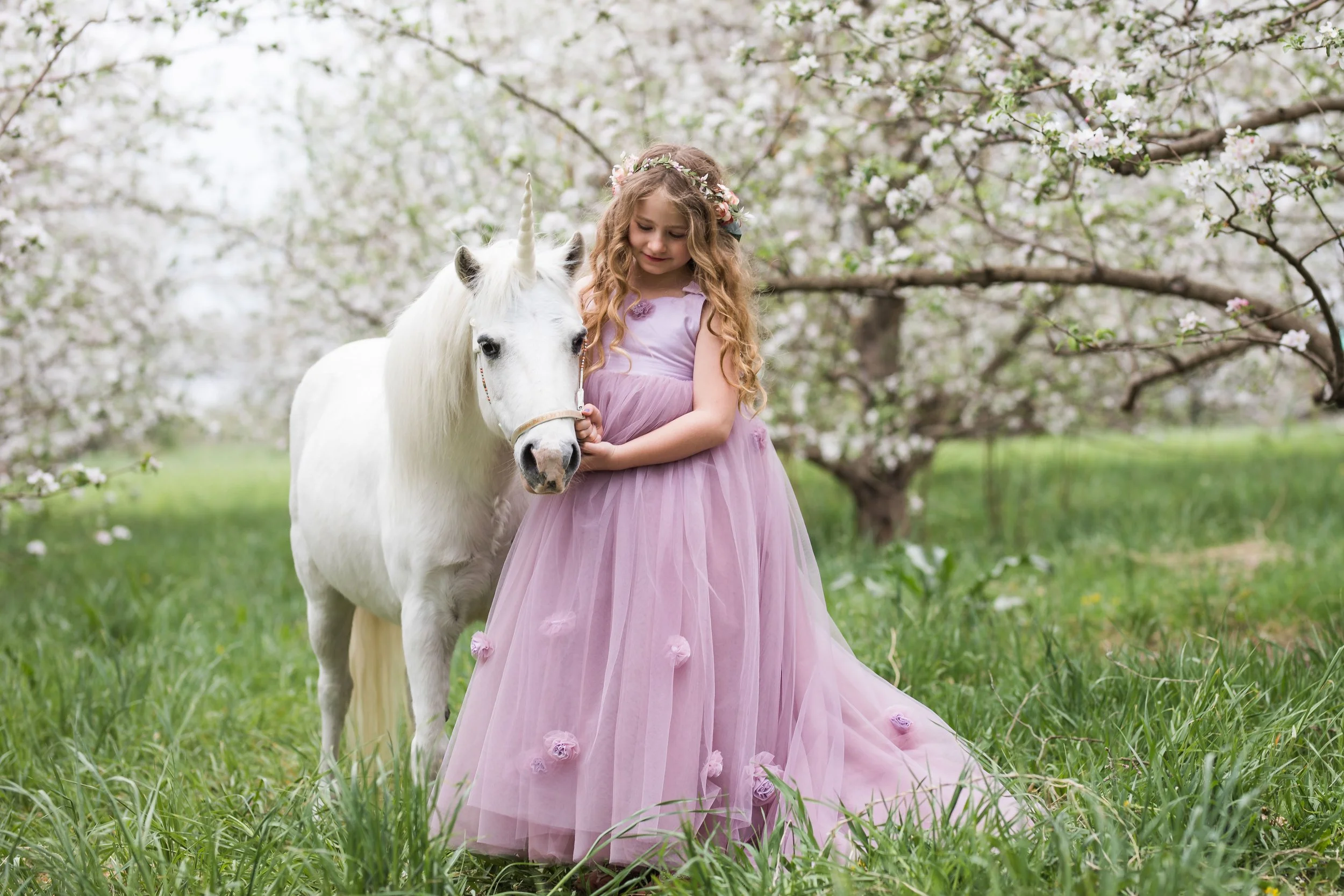 Unicorn (31 of 54).jpg
