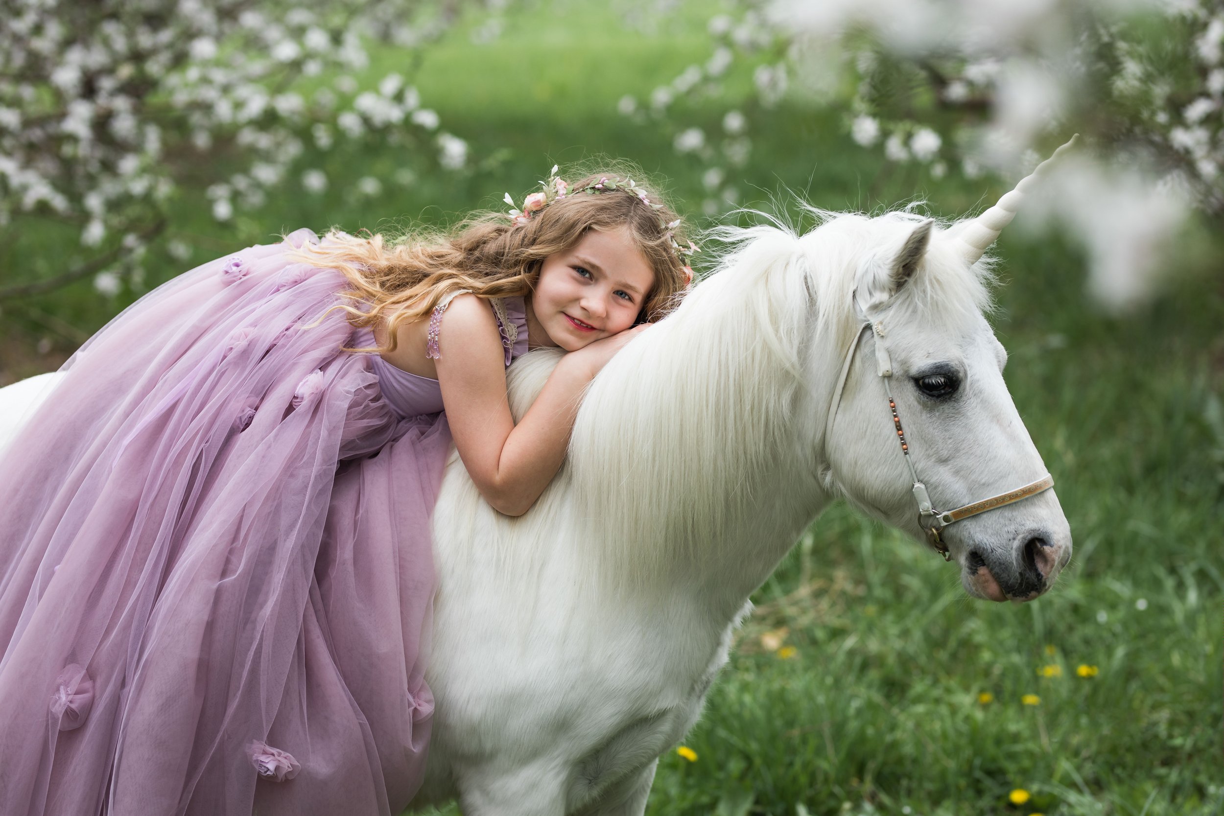 Unicorn (36 of 54).jpg