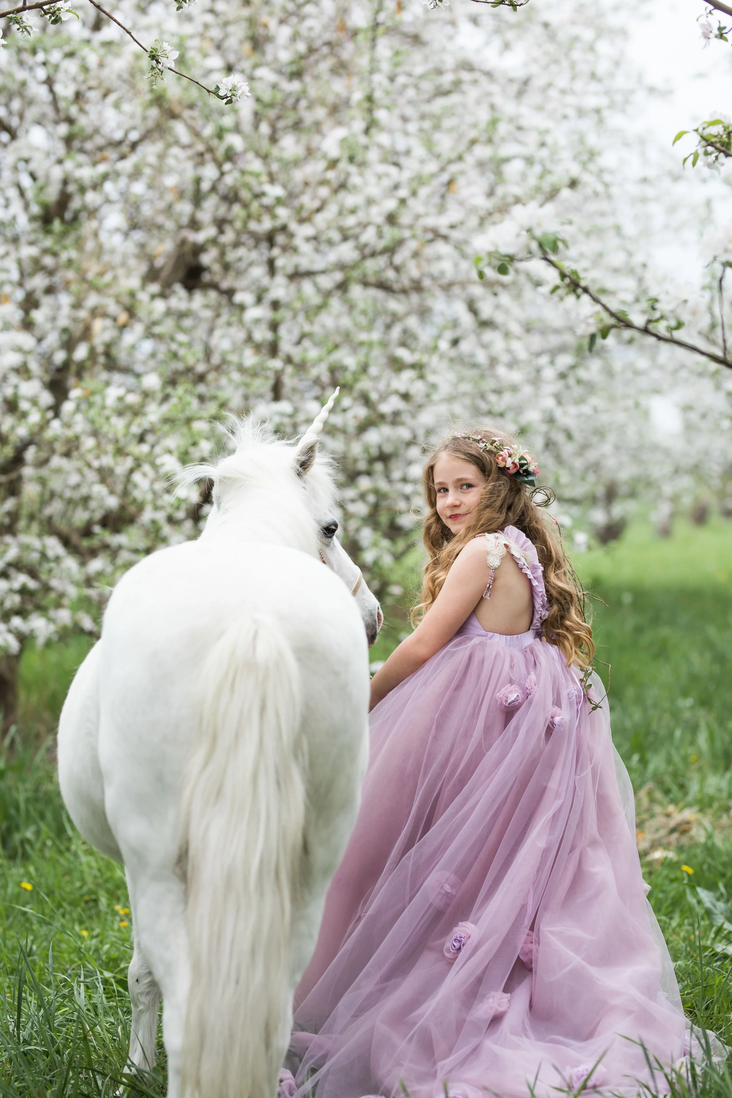 Unicorn (42 of 54).jpg