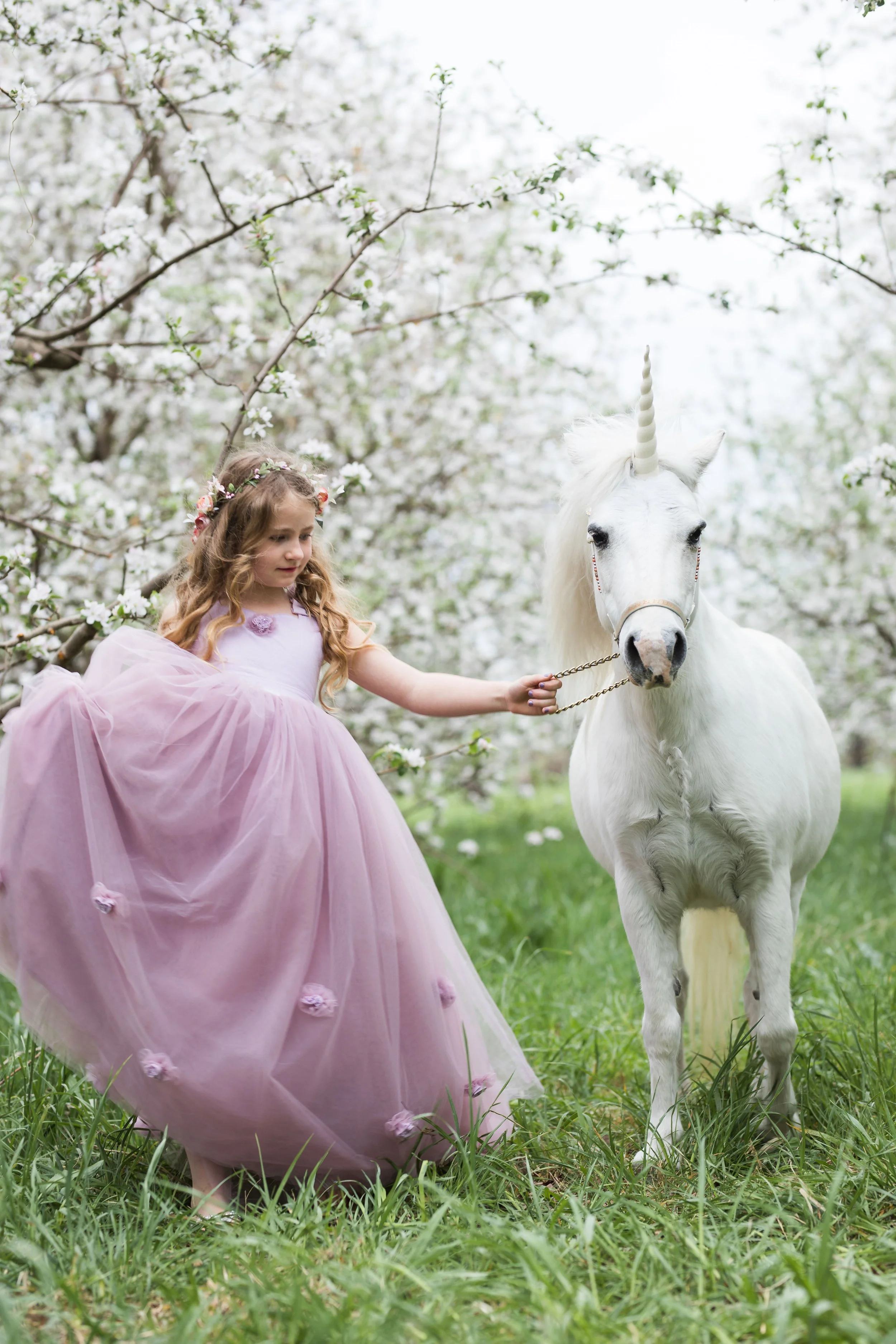 Unicorn (44 of 54).jpg