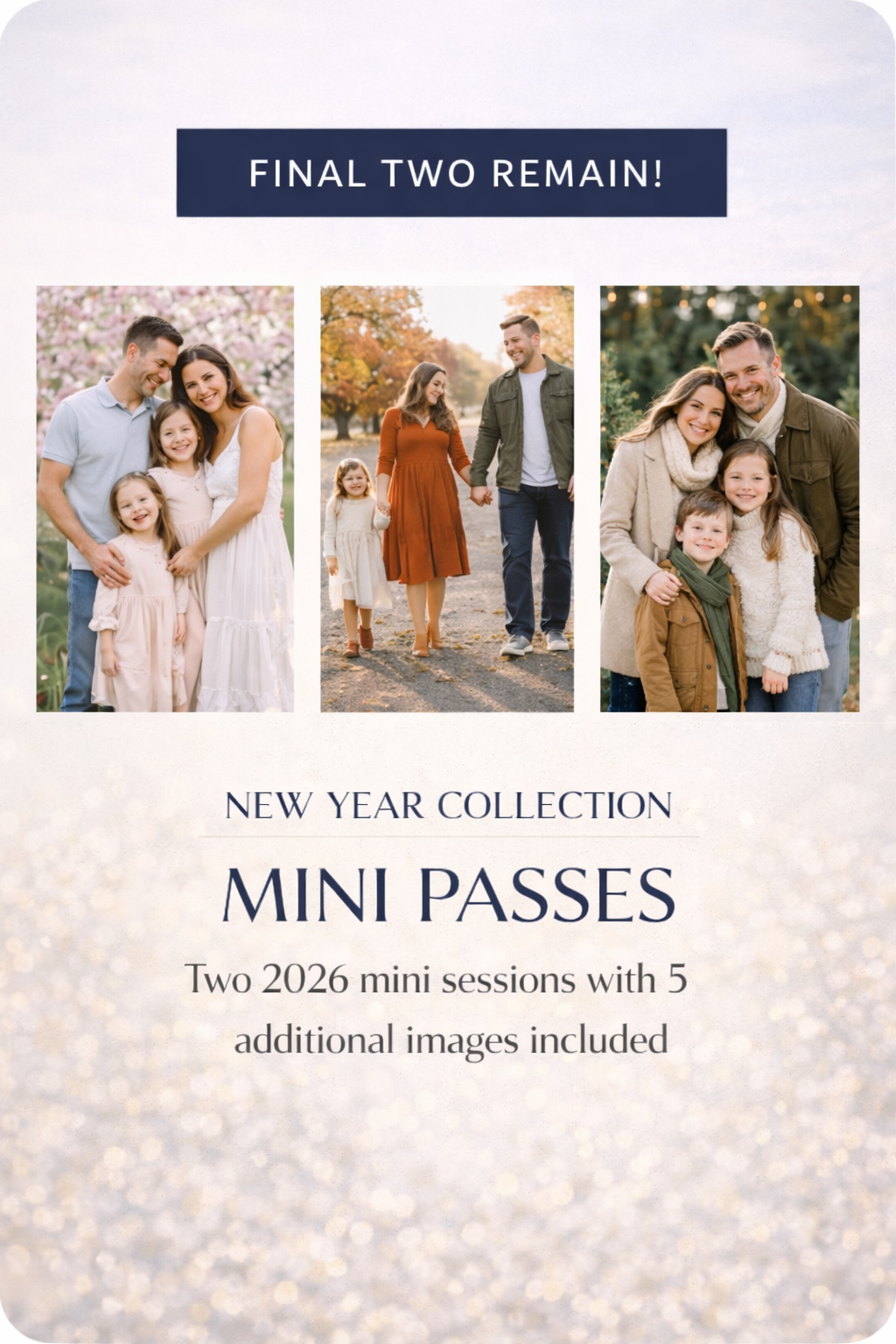 New Year Collection Mini Passes
