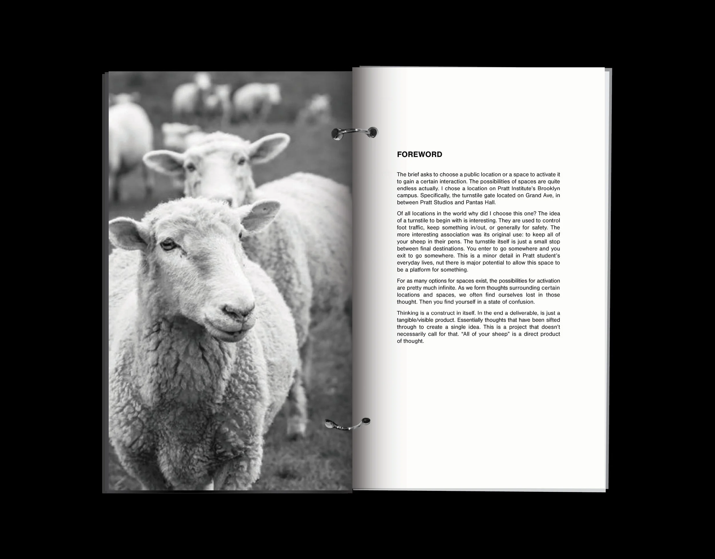 sheepdocumentation3.jpg