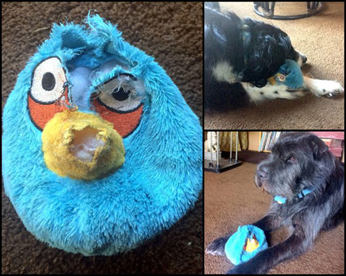 Sew an Easy Stuffed Ball Toy for Your Dog — The Mermaid's Den