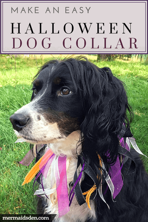 Make a Cute Halloween Dog Collar with Ribbons