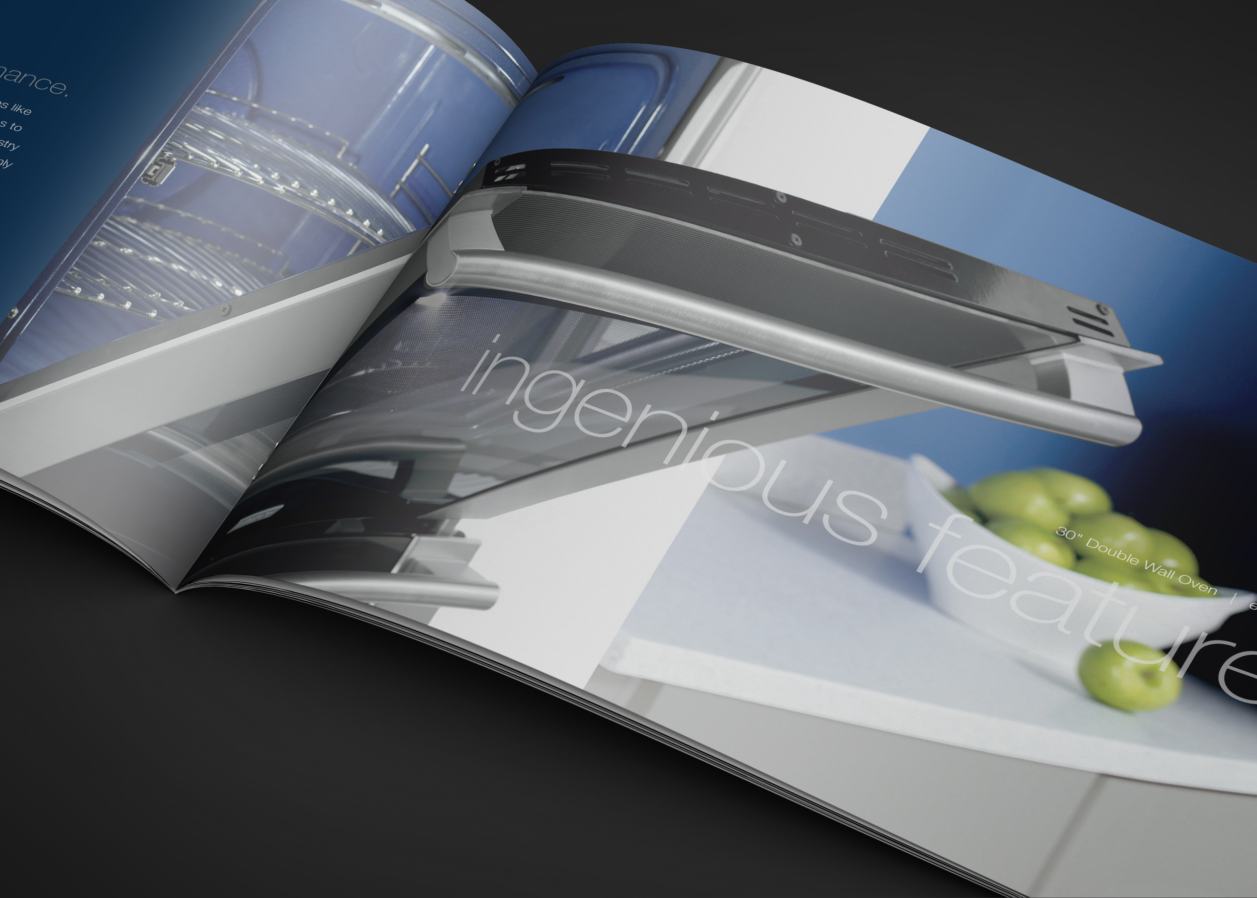 Elux_Bro_Spread_2_Detail.png