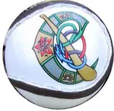Camogie Update