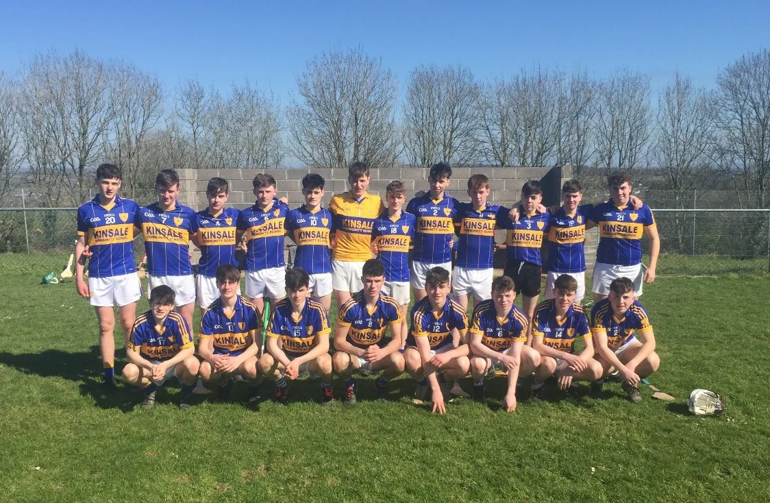 Senior Hurling.jpg