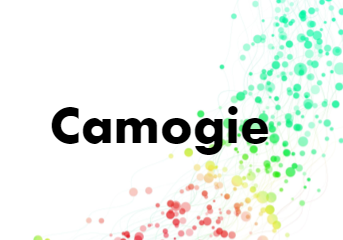 1st Year Camogie