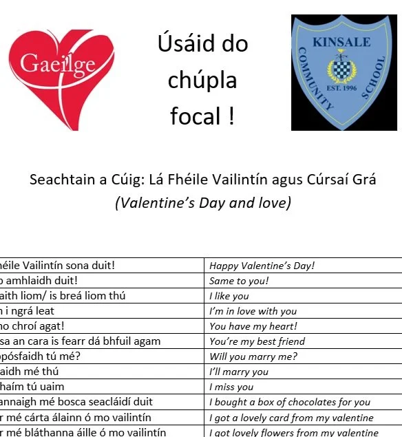 Úsáid do Chúpla Focal - Seachtain a Cúig