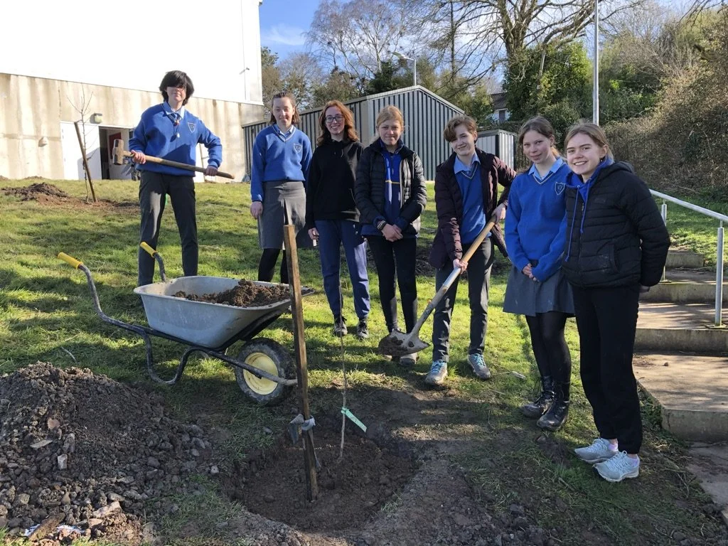 KCS Orchard - "Trees for the Bees"