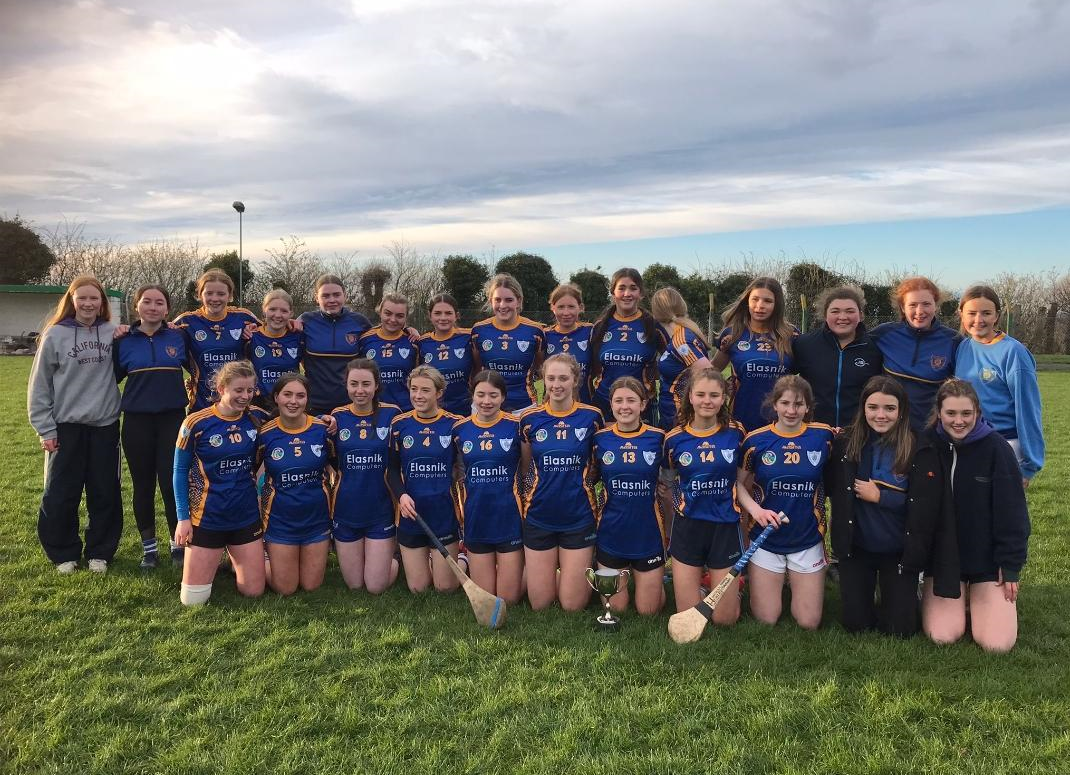 Senior Camogie Munster League Final Success
