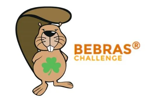 KCS Students Qualify for Bebras Computing Challenge National Final on Computational Thinking