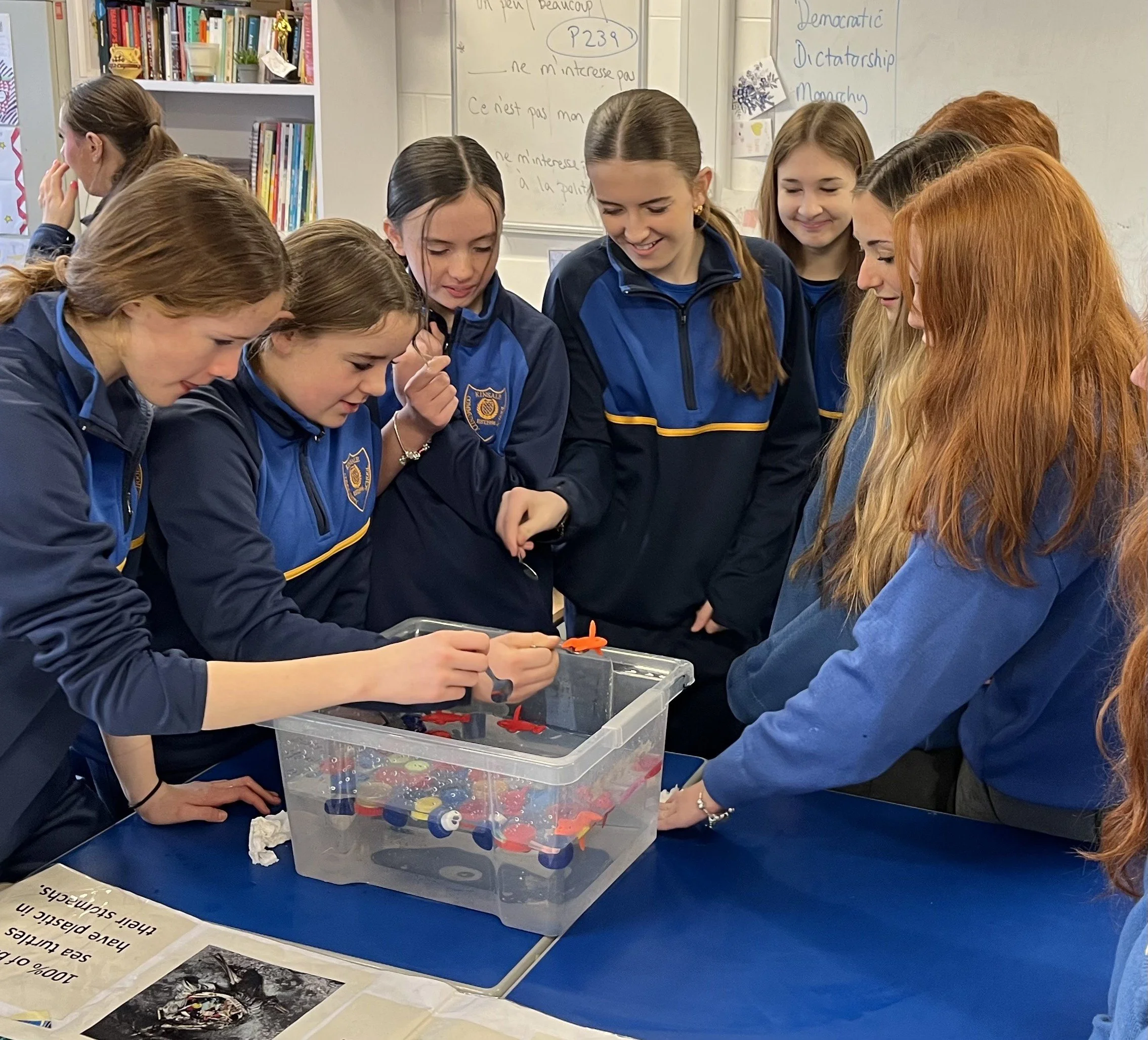 TY Sustainability Team Bringing Climate Action to Life