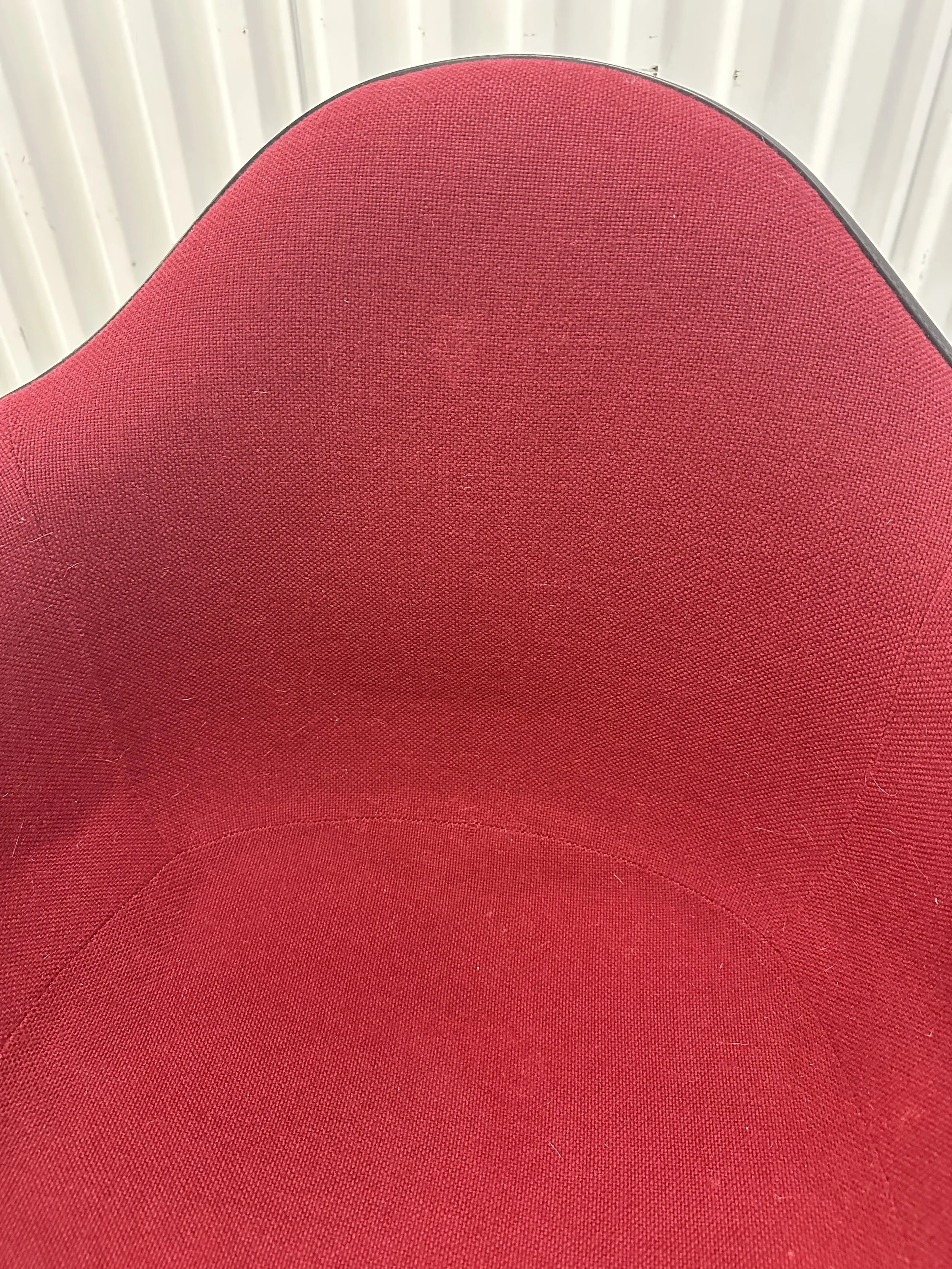 IMG_8970.jpeg