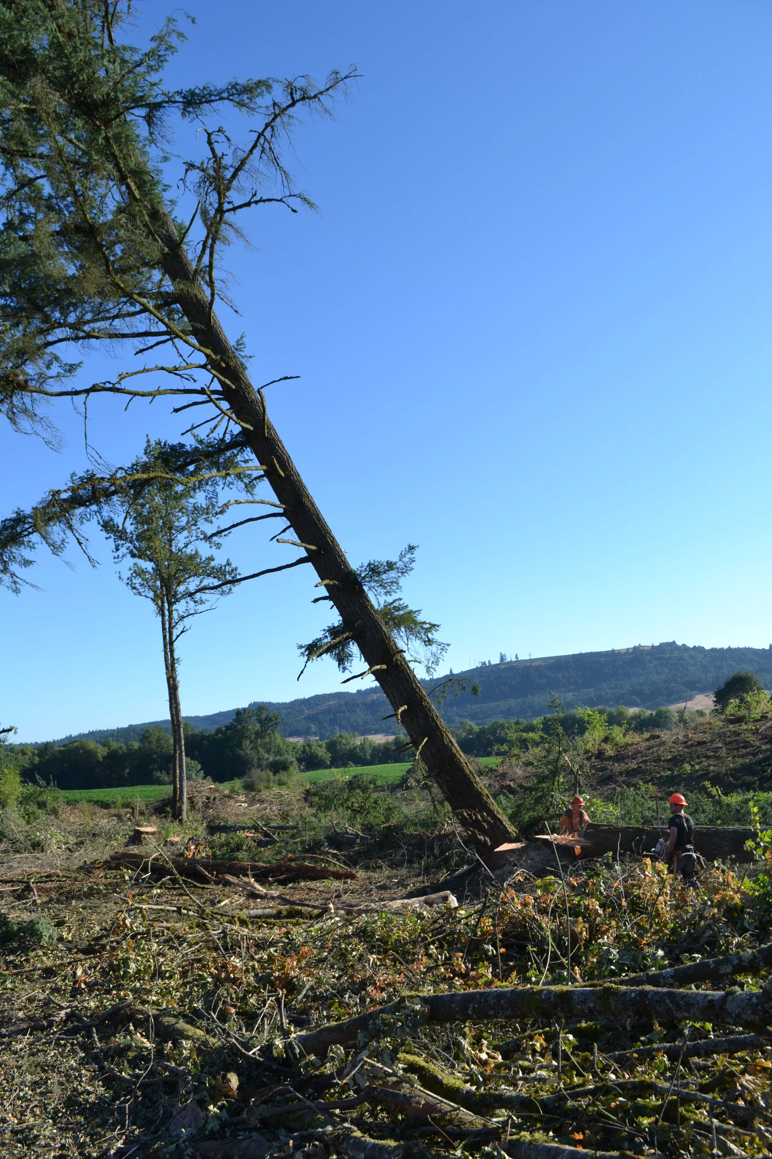 DSC_0115.JPG