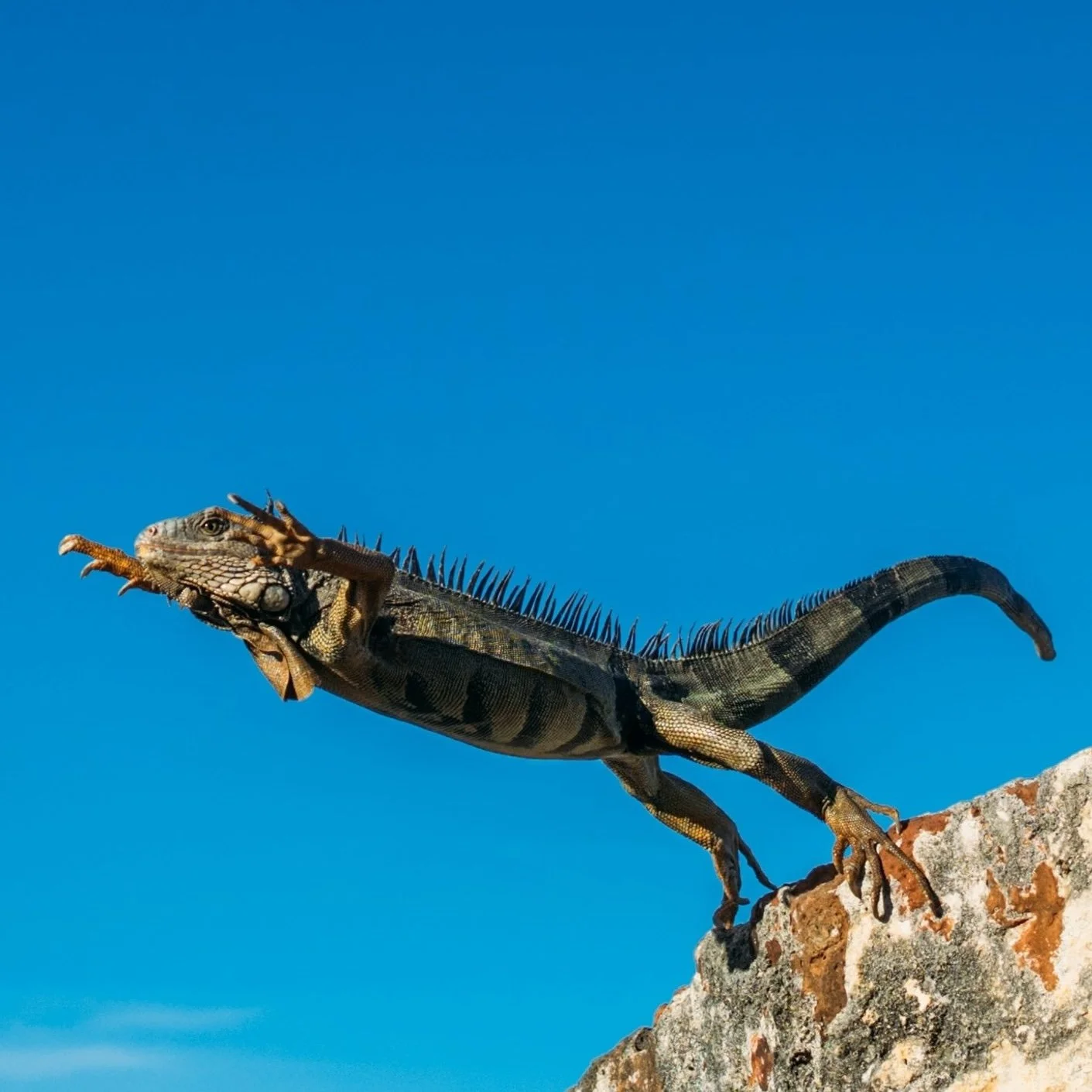 The Social Distribution Gap: Why the Best B2B Product Doesn't Win (And What Actually Does)