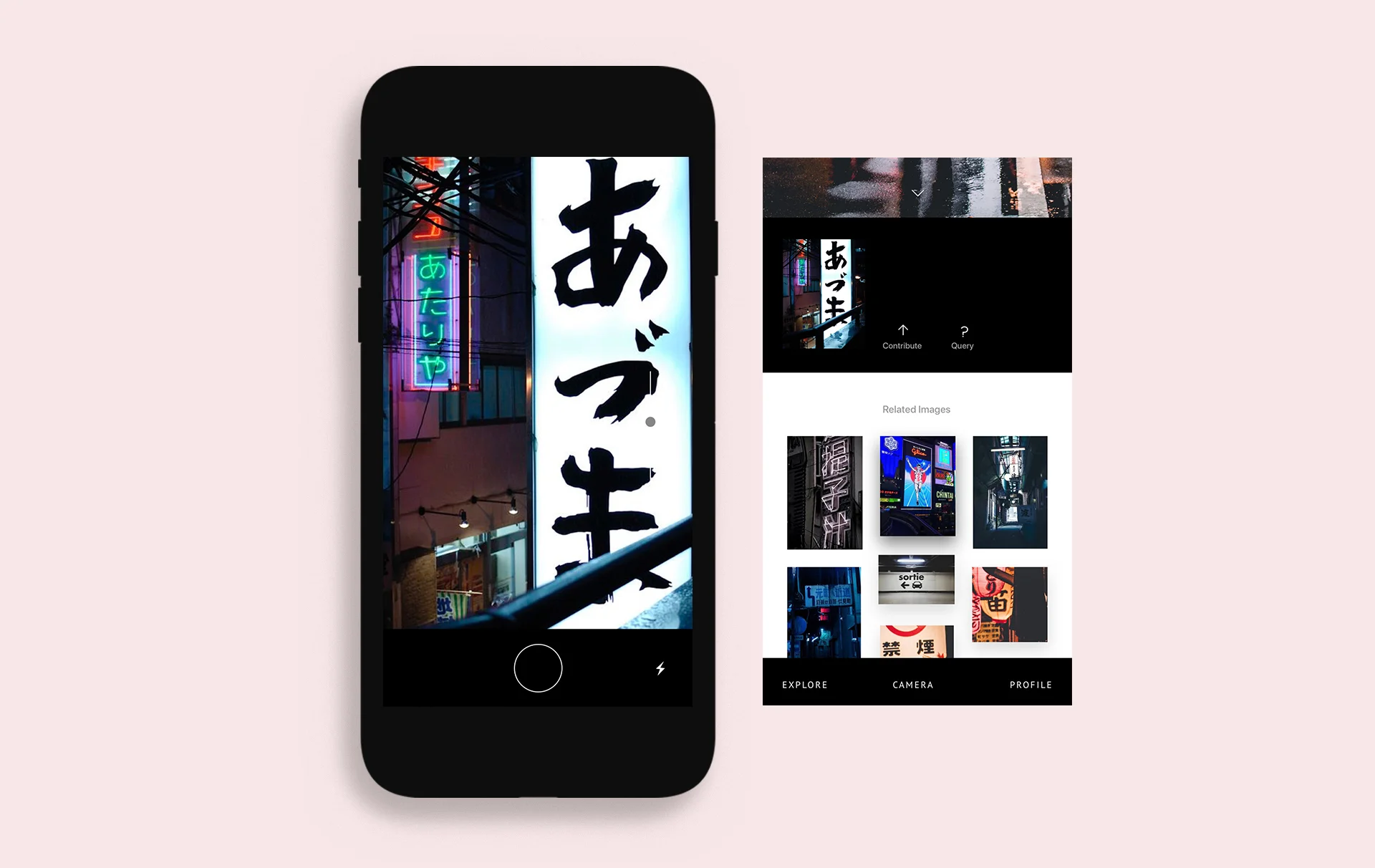 Artboard 3.jpg
