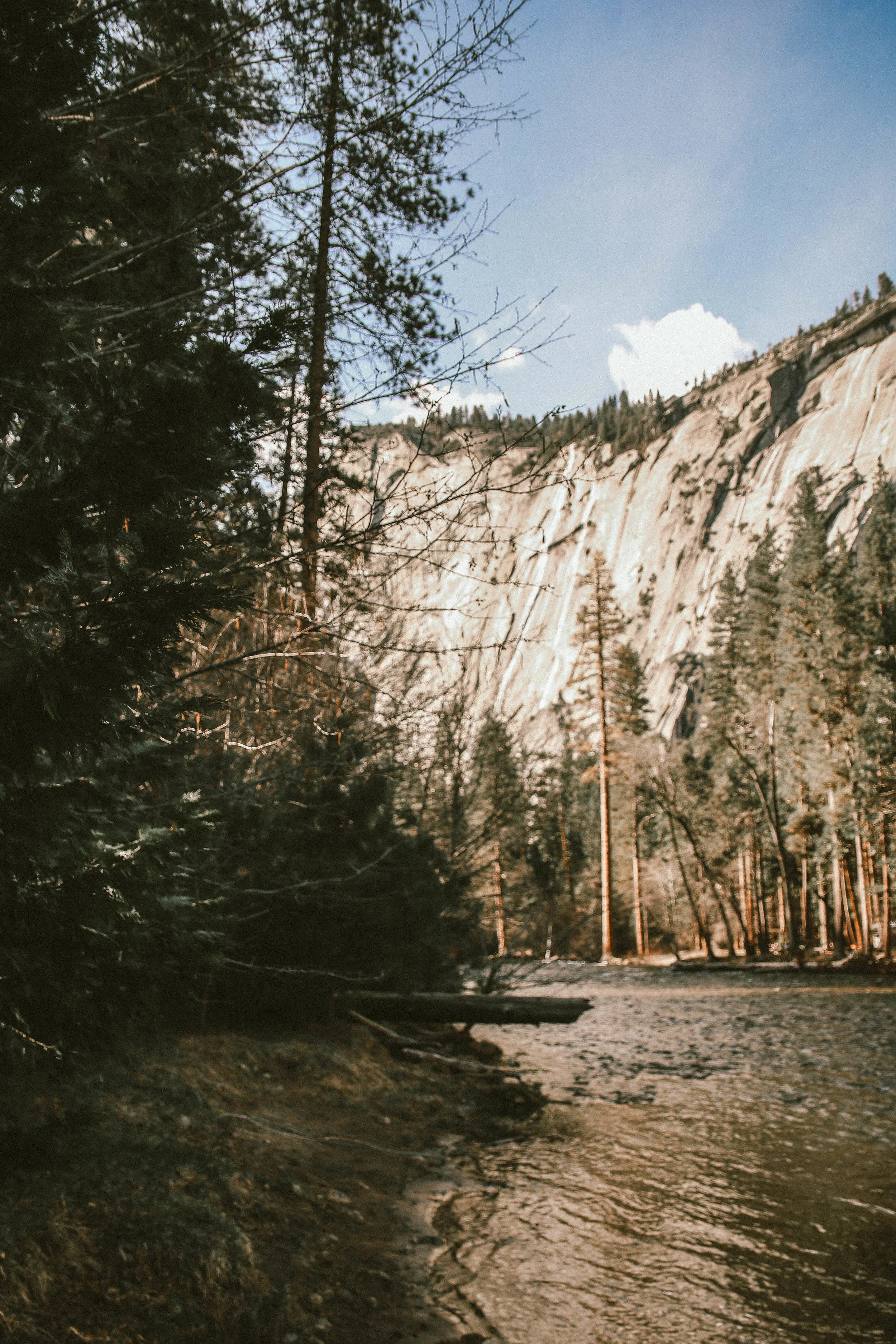 this is directly next to our campsite - we got lucky, just like we had in Sequoia, to be right next to water.