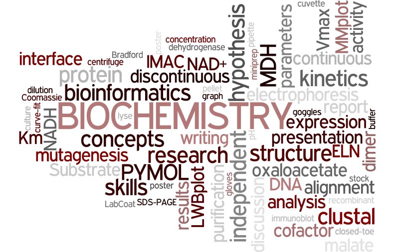 wordle_biochemistry.png