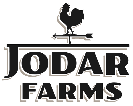 JODAR-Simplified_Logo-BLACK.png