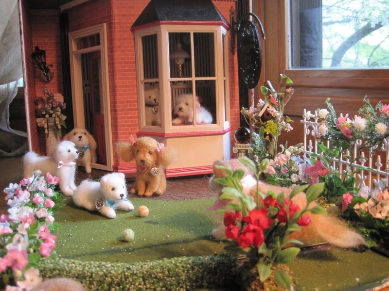 Doggy Day Care Room Box
