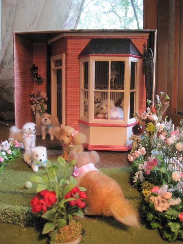 Doggy Day Care Room Box