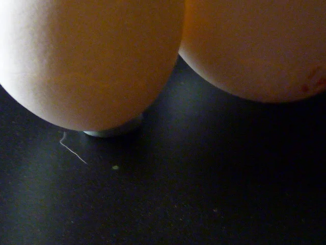 Eggs 1