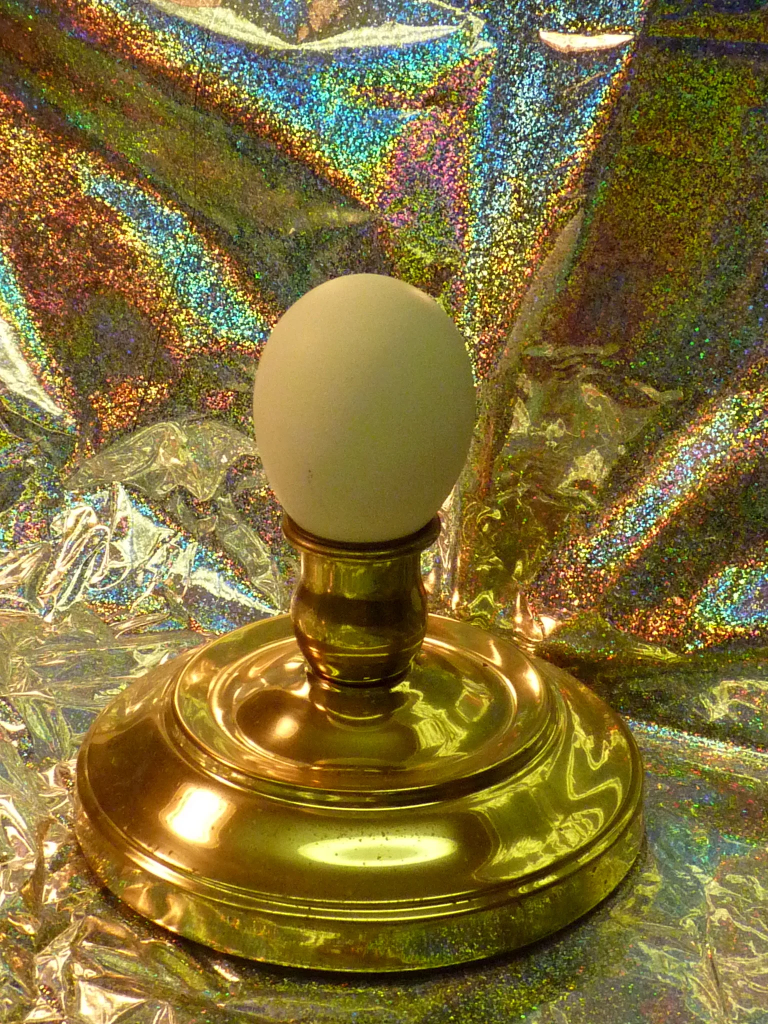 Egg 7