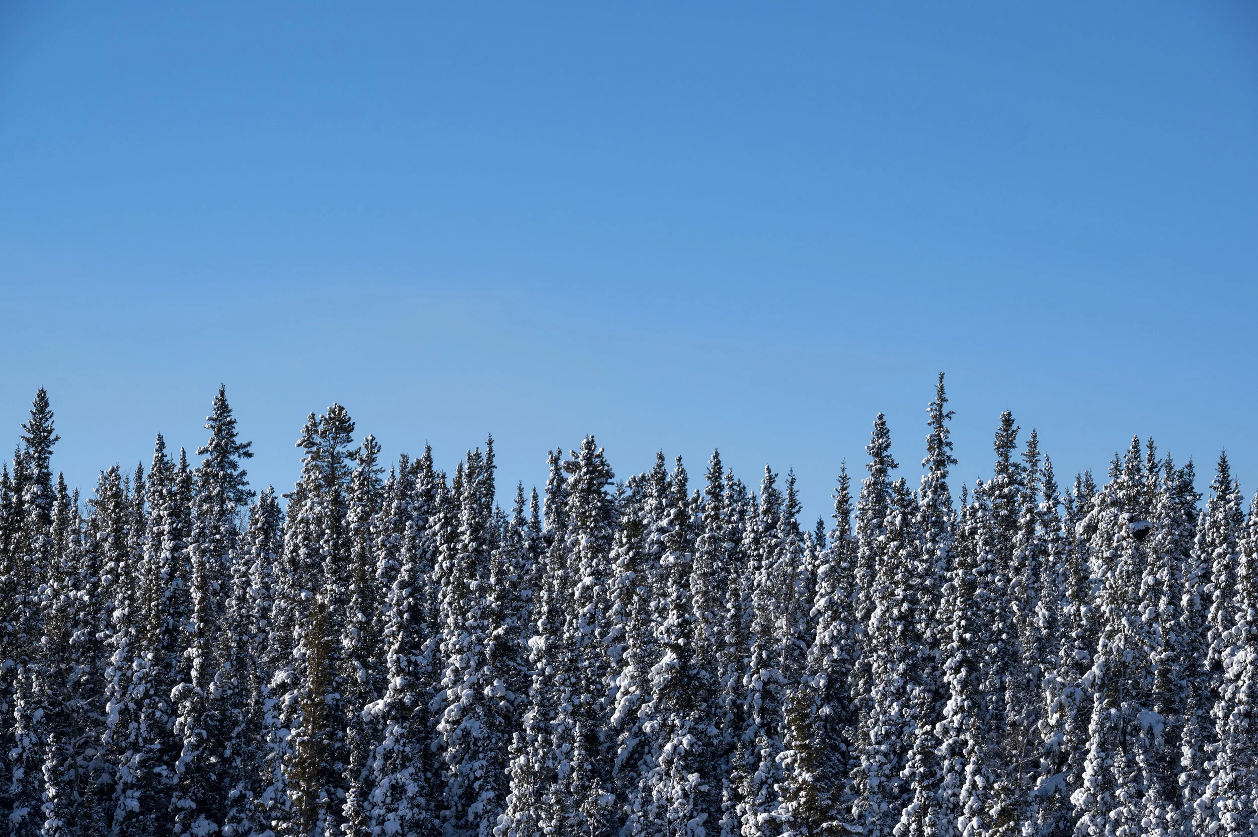 DSC_0078.JPG