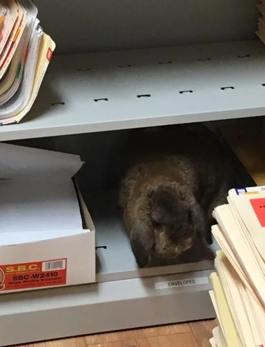 Chet in Office.jpg